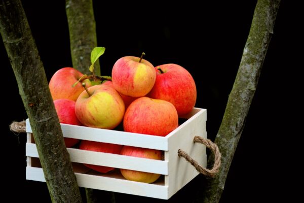 apple, goldparmäne, box